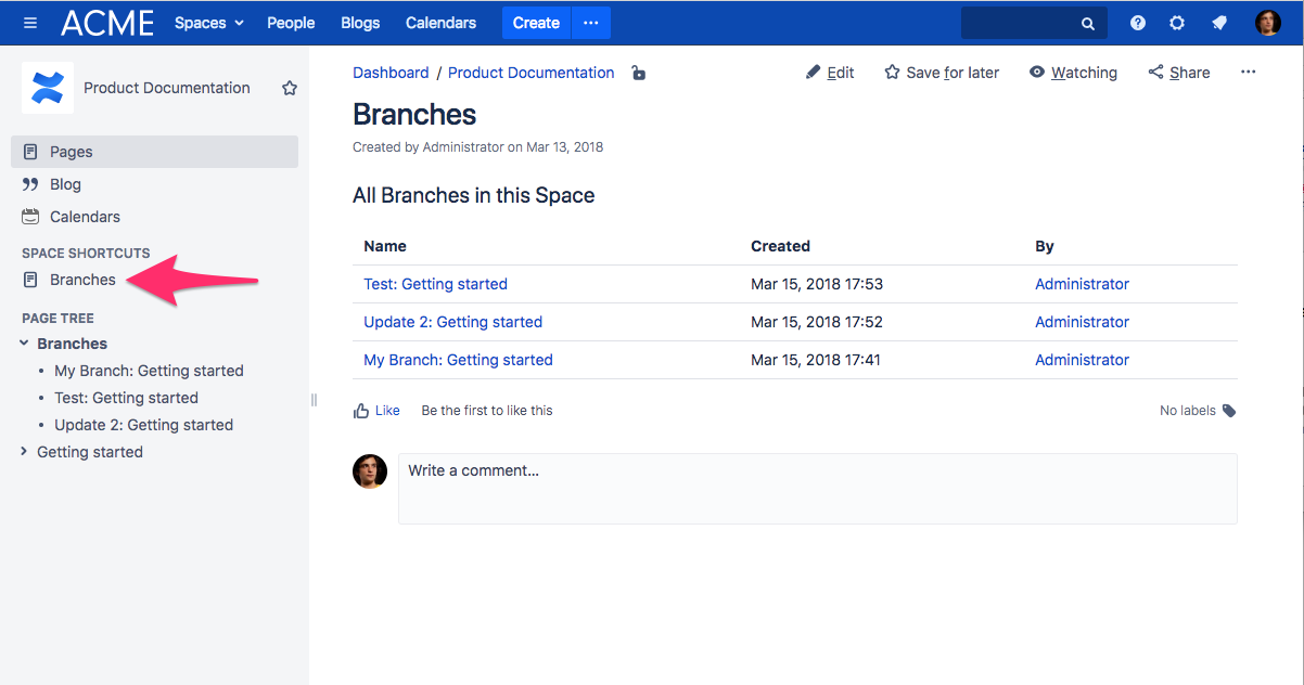 Branches Overview