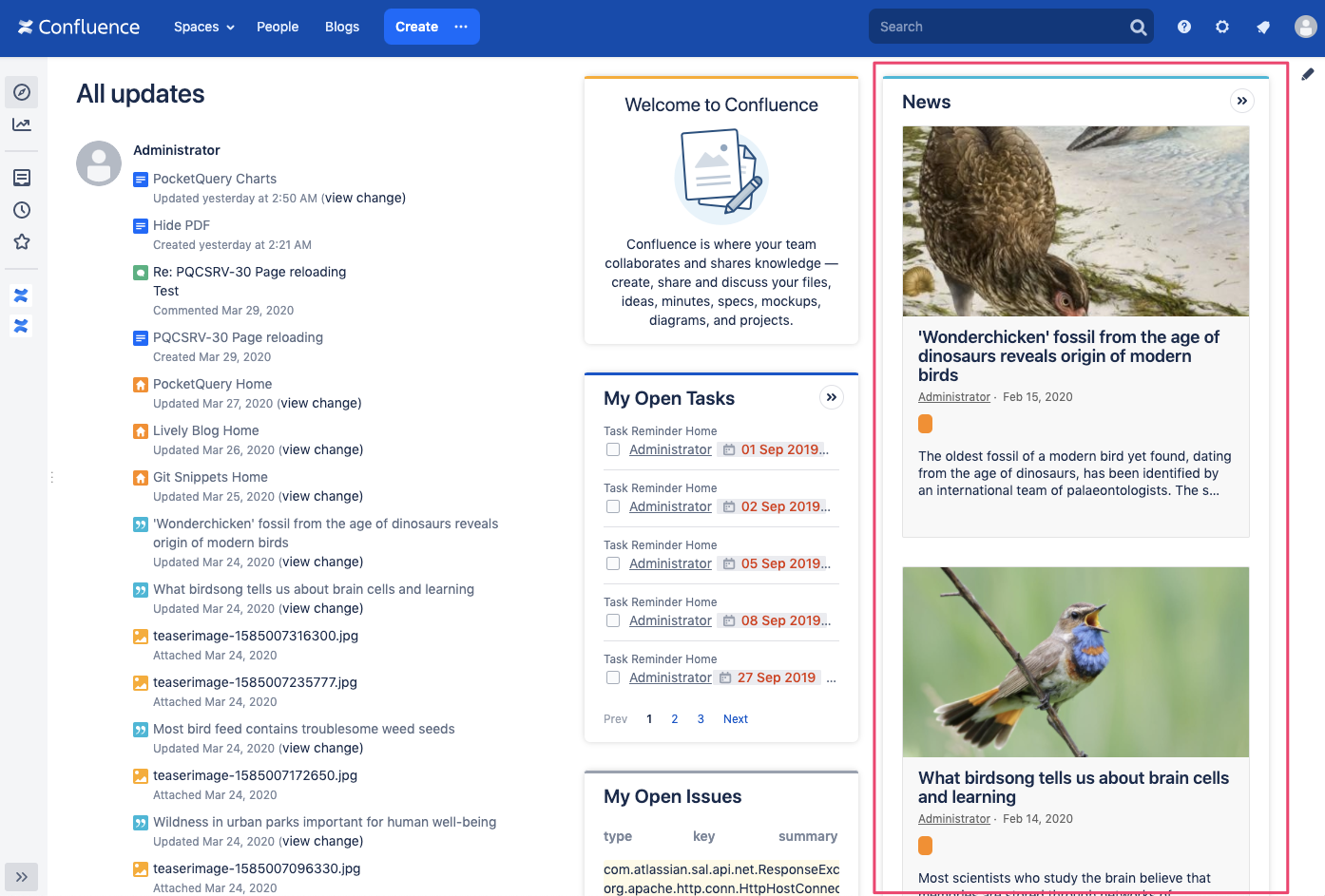 Lively Blogs Dashboard