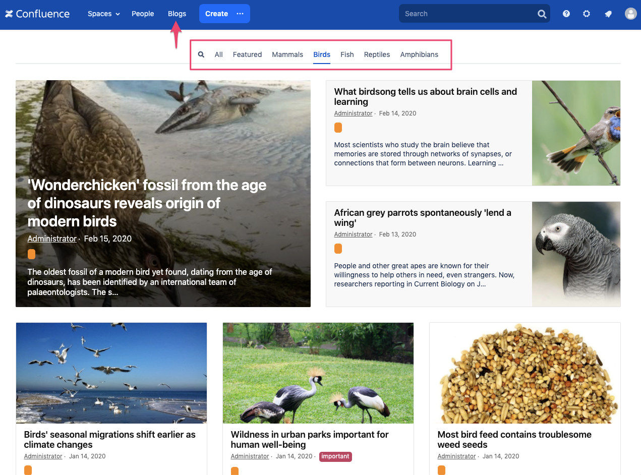 LLively Blogs Dashboard