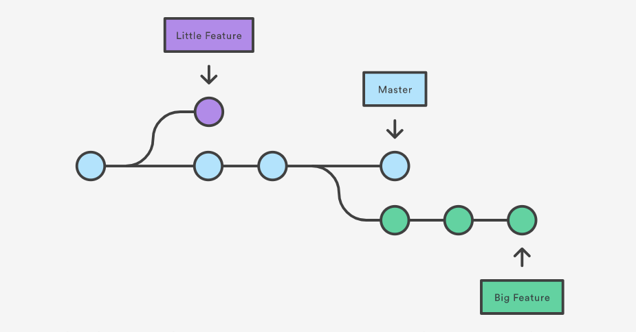 Software branching